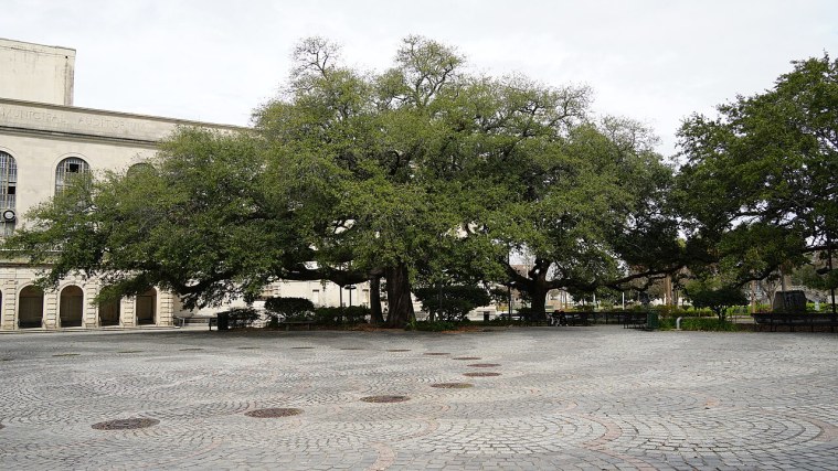 Congo Square - Where the Drums Kept Sunday