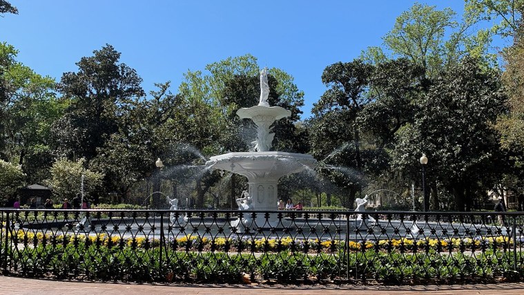 Savannah