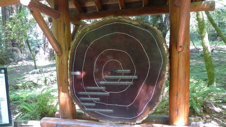 Muir Woods Entrance - A Forest Saved by a Gift