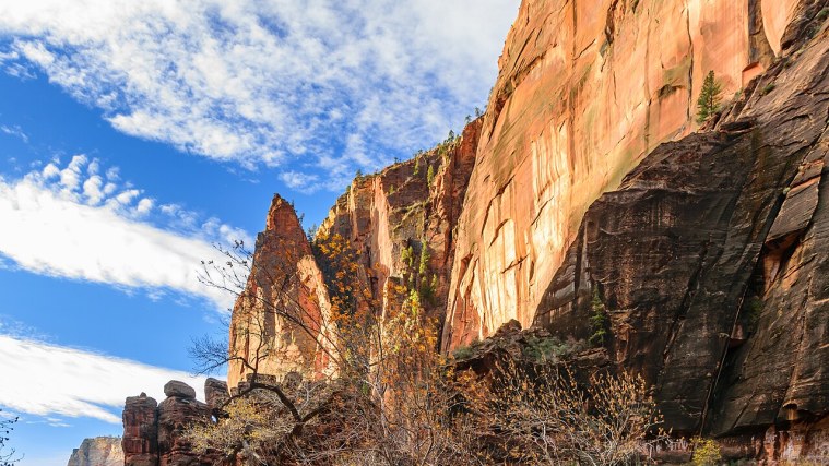 Temple of Sinawava - Where the Canyon Narrows