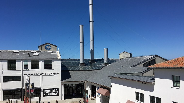 Monterey Bay Aquarium - A Cannery Reborn