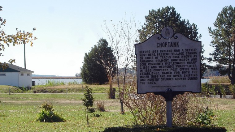 Choptank Landing - The River North