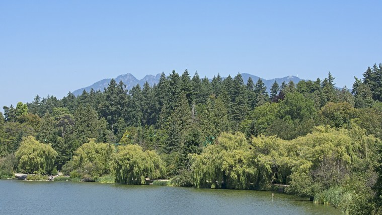 Lost Lagoon - A Lake That Was Once the Sea