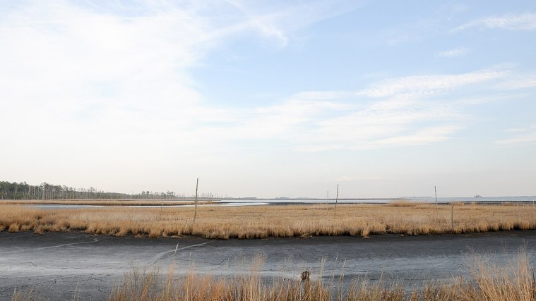 Blackwater Refuge - The Land She Learned to Read