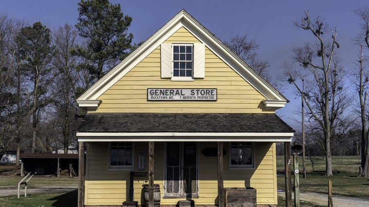 Bucktown Village Store - The Blow That Changed Her