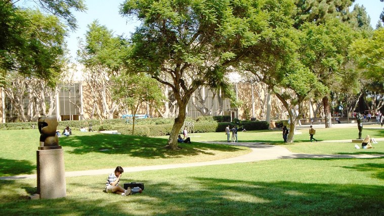 Murphy Sculpture Garden - Masterpieces Under Jacarandas