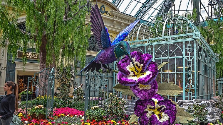 Bellagio Conservatory - A Garden That Changes Its Clothes