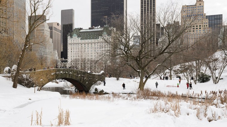Central Park Highlights Walk