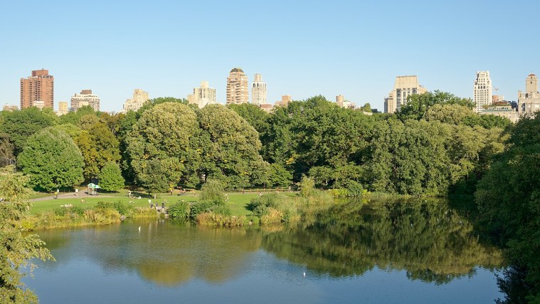 Turtle Pond - From Reservoir to Wildlife Haven