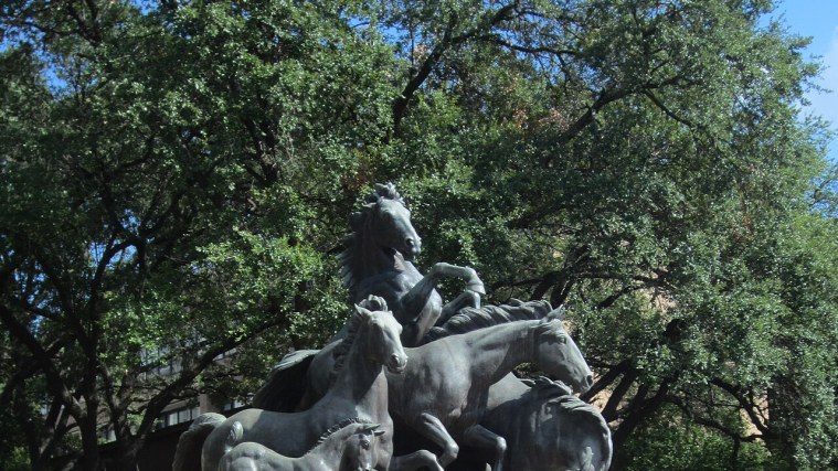 The Seven Mustangs - Proctor's Last Great Herd