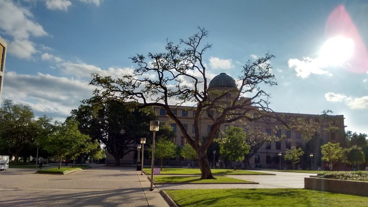 Academic Building - A Dome Built From Ashes