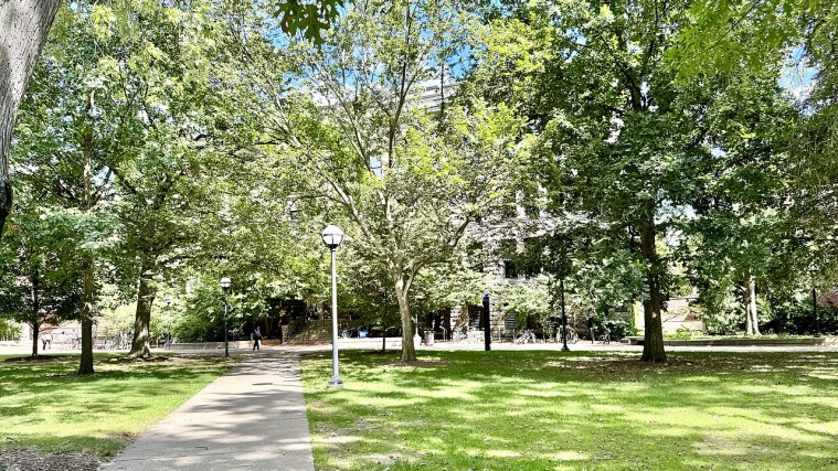 The Diag - Don't Step on the M