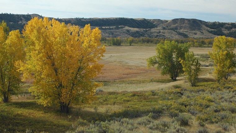 Slippery Ann - Elk on the Russell Refuge