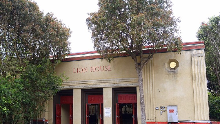 Lion House - Big Cats in a WPA Classic