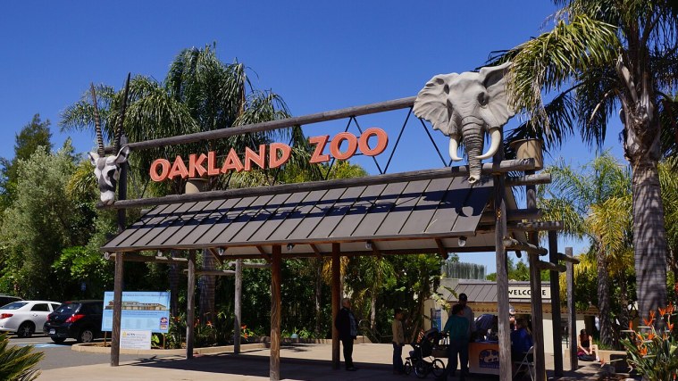 Main Entrance - Flamingos at the Gate